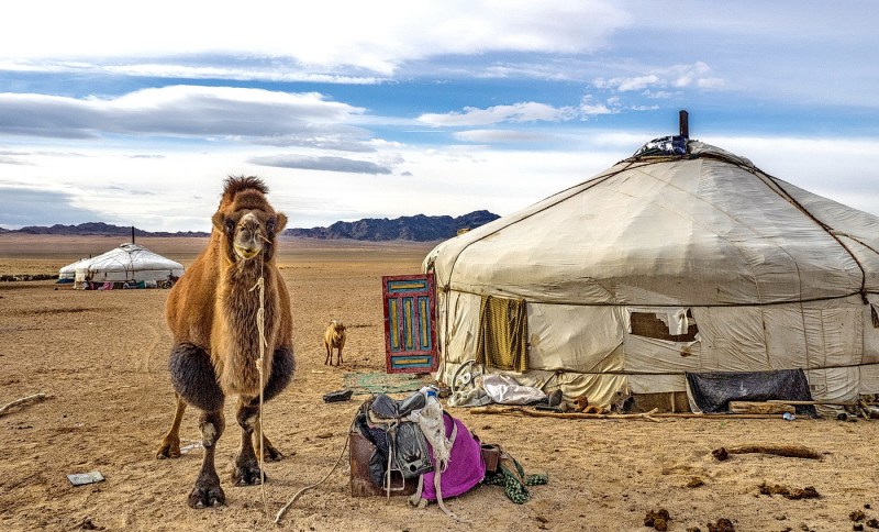 Sex Tourist In Ulan Bator Fucks A Mongolian Woman Photos