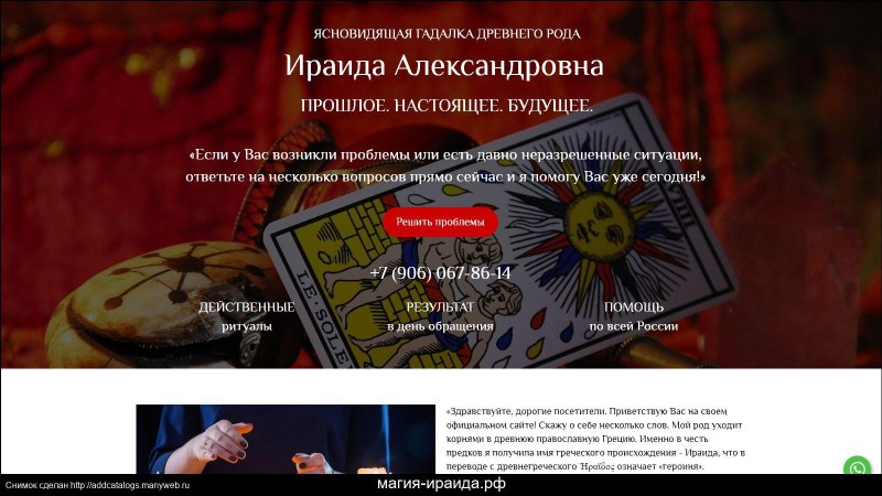 Ljourbring Champion Champion LS5001N