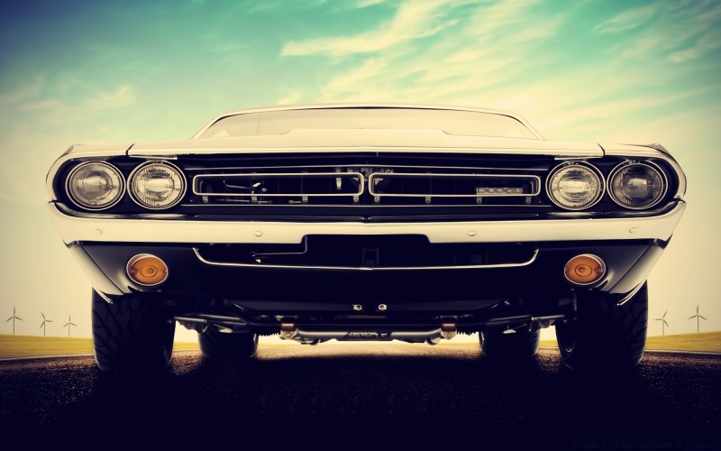 Mr Bunny Patriotica Comics