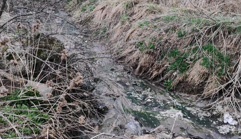 Kursk region pollution