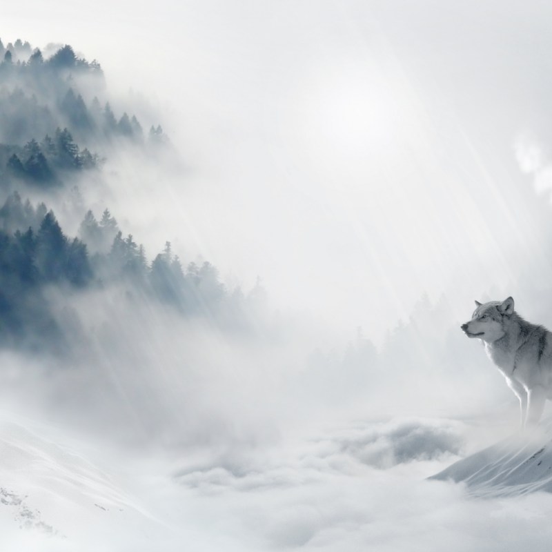 Anime wallpaper landscape