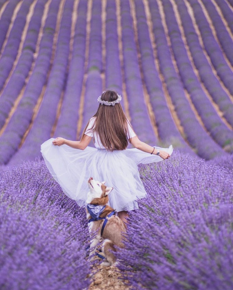 Fuck in a corn field