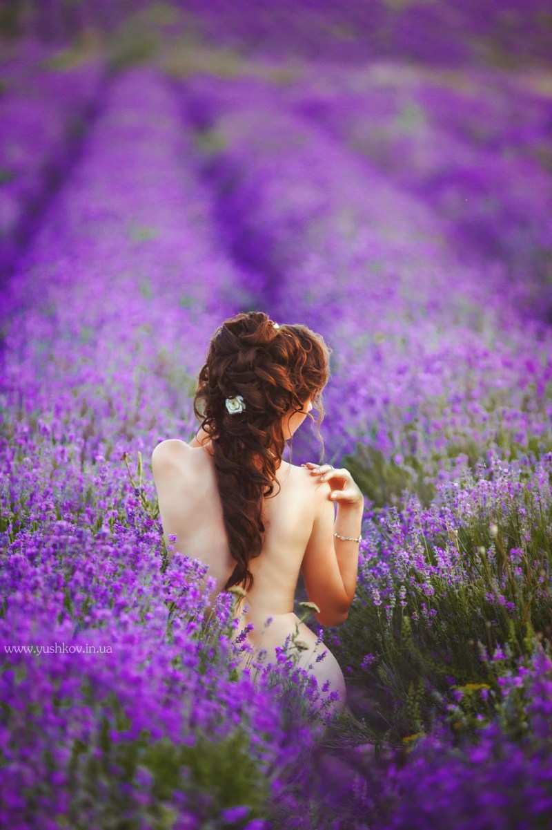 Photoshoot in Lavender