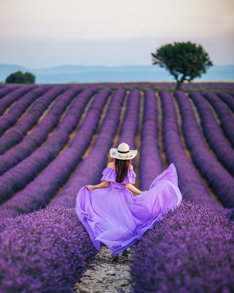 Lavender fields in the style of nude