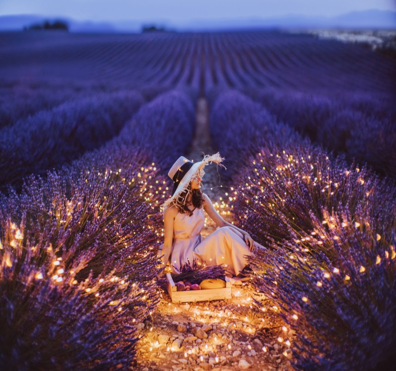 Cleaning lavender fields