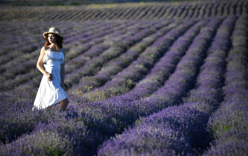 Photo shoot naked in the lavender field
