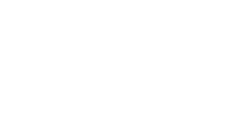 Show Boar Nikol Nuriev