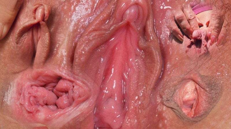 Women's vaginas from the inside