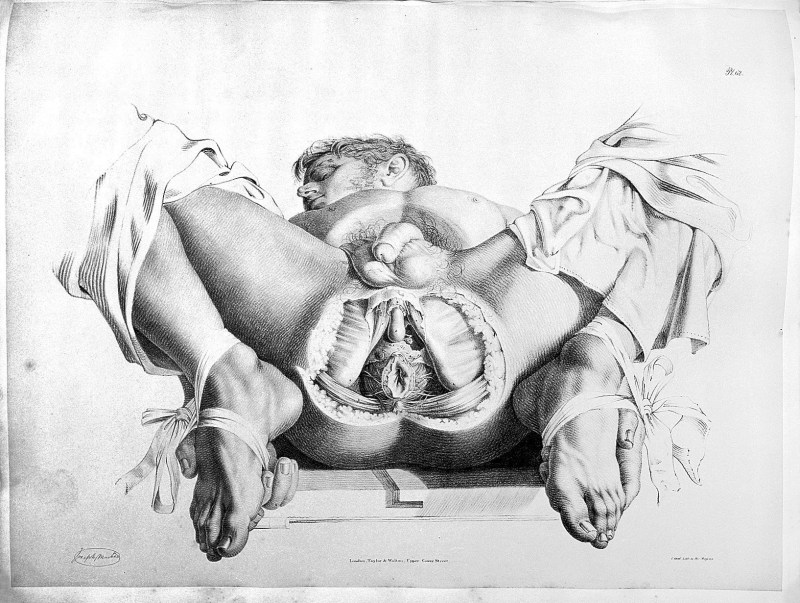 Virgin vagina from the inside