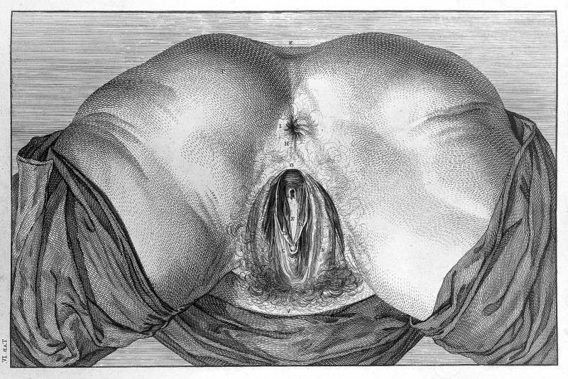 The vagina of a woman from the inside
