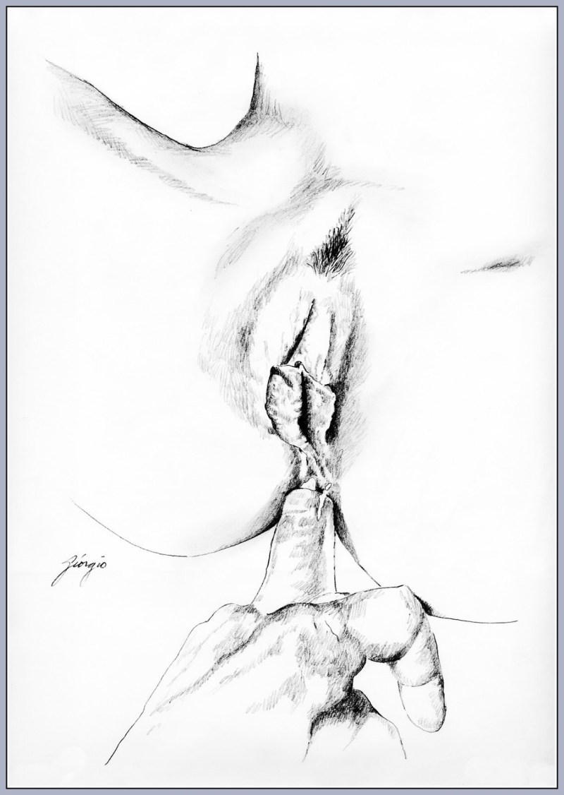 Beautiful women's vaginas in blood