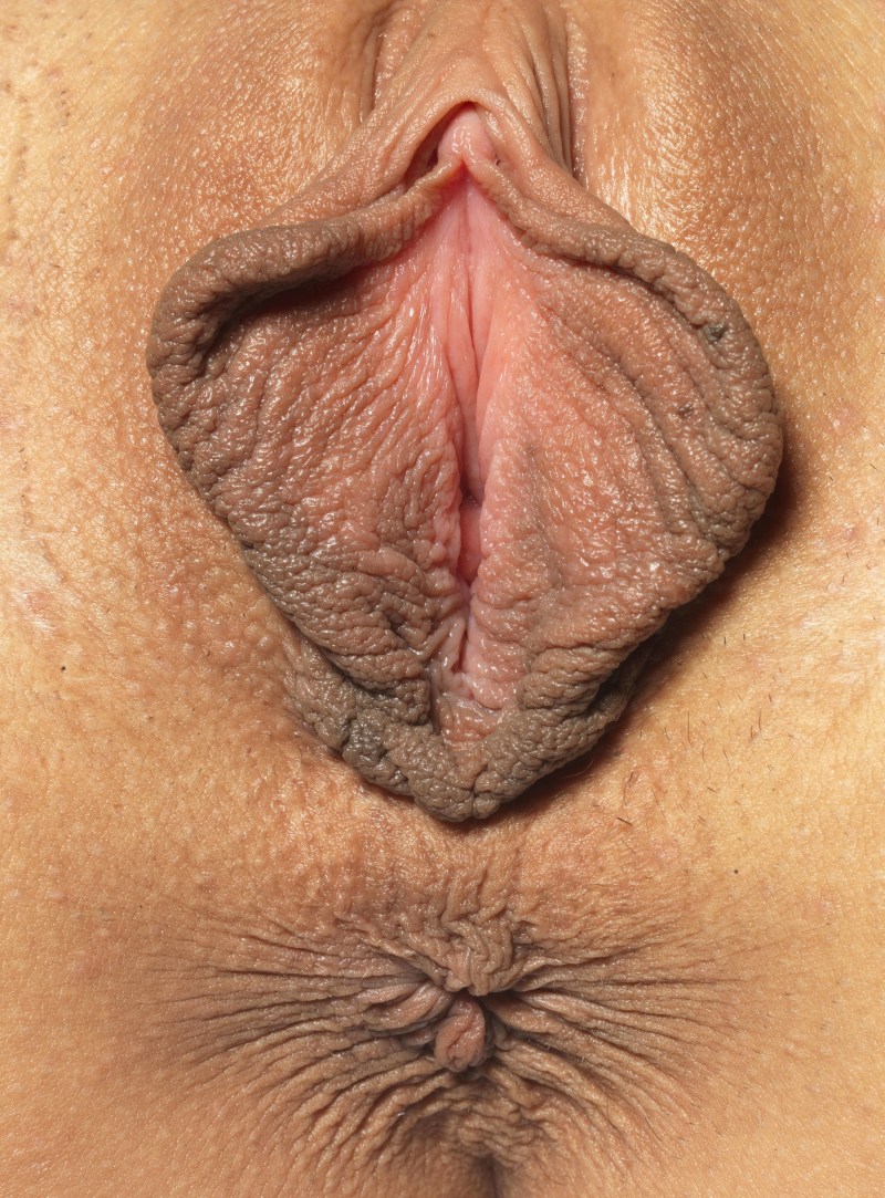 Naked female delights large