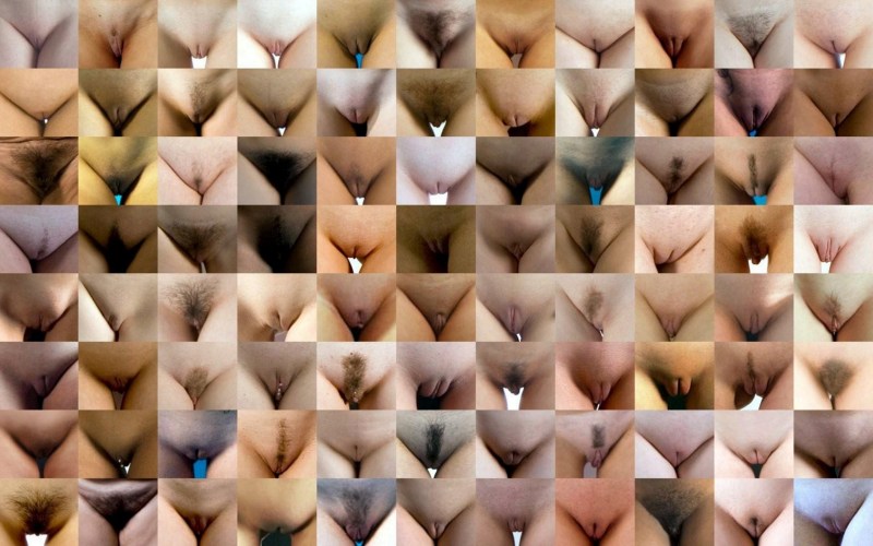 A variety of vagina