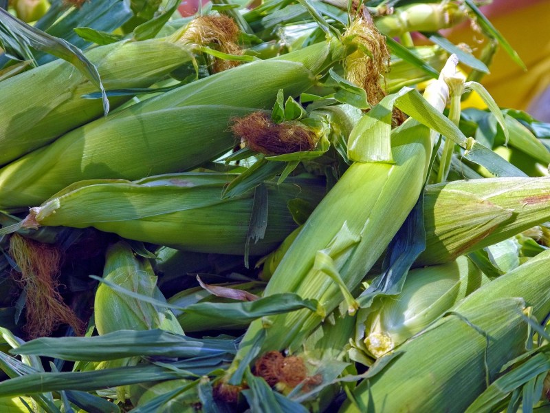 Mexican Grilled Corn