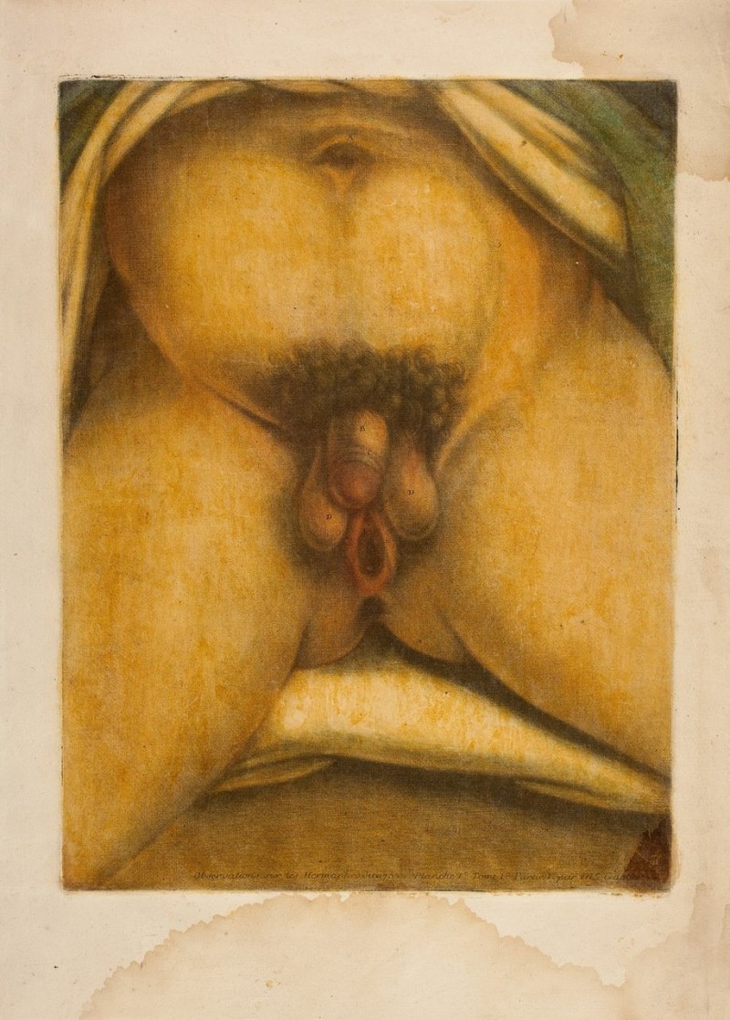 Transes and lesbian gangbang