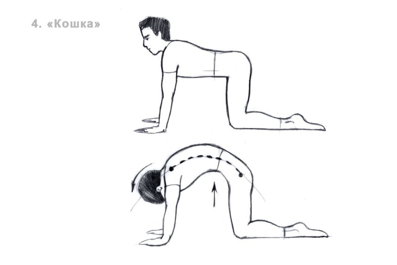 Picture where the white dog shit