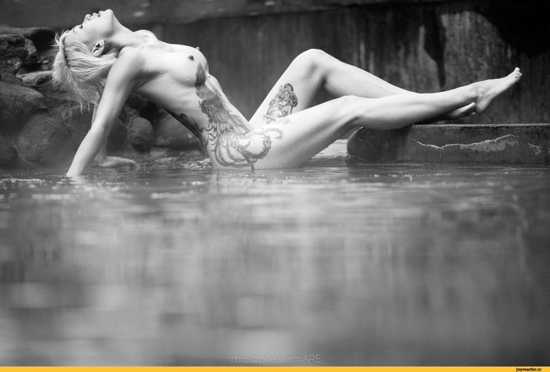 Tits, pussy, butt, lesbian