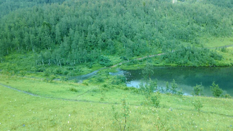 Baba on the background of the carpet