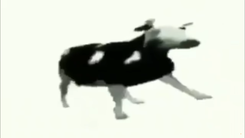 Ksenia Nikonorova naked