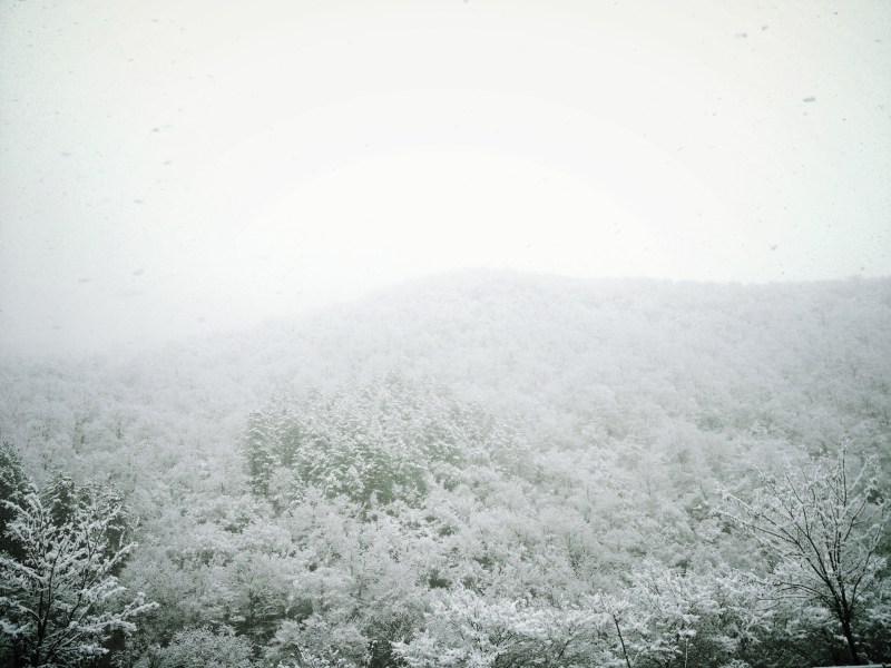 Anastasia spector in a swimsuit