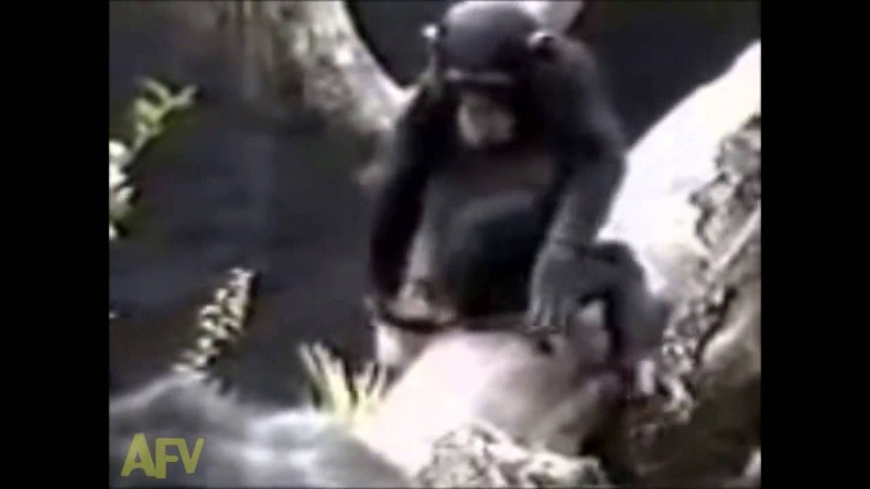 Foreign objects in the pussy