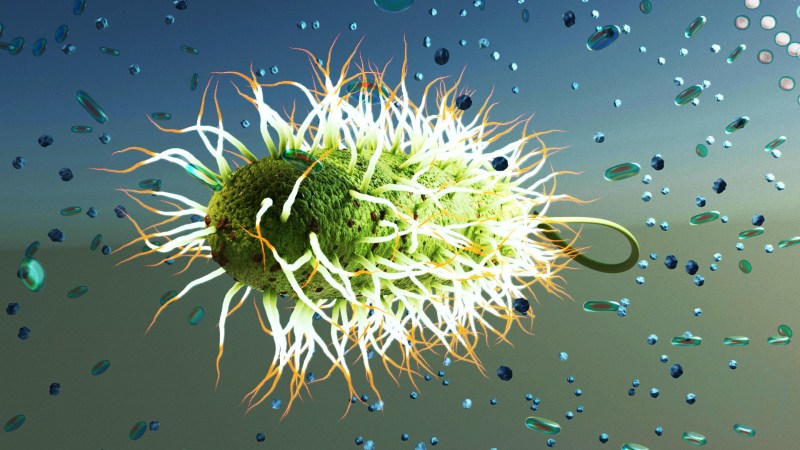 Bugatti Sharon Wallpaper on the phone Vertical on a black background