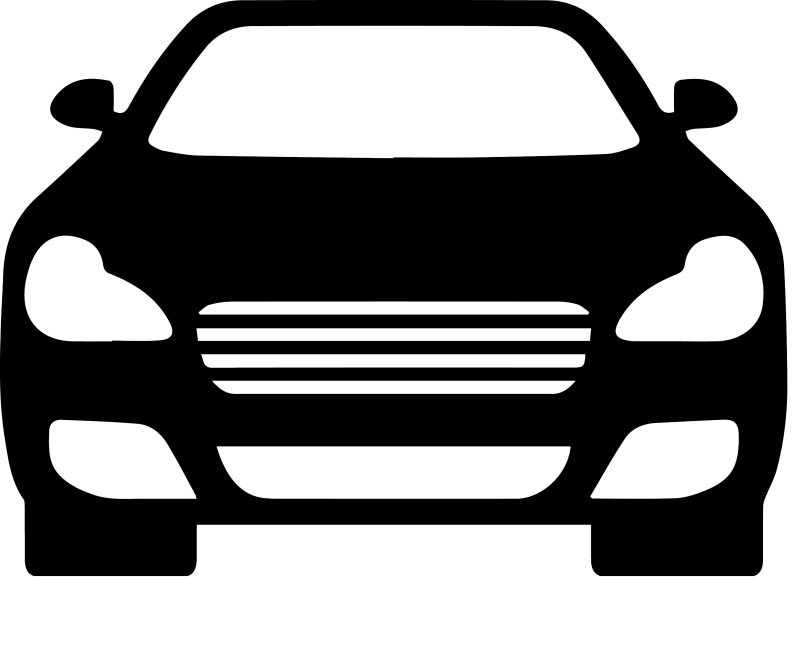 Bones of the skeleton of the chest anatomy