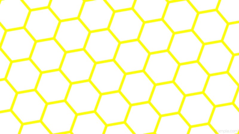 Human skeleton view in front and back