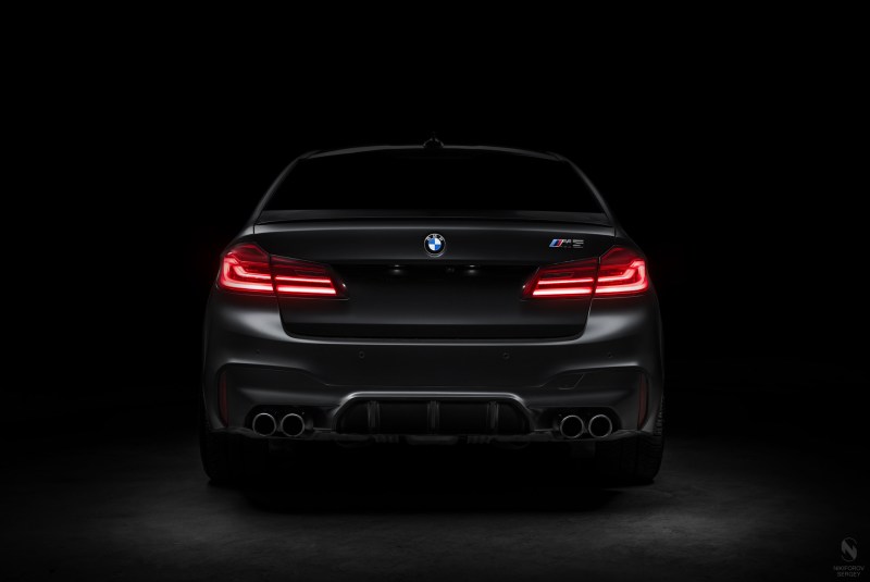 The spinal cord in front