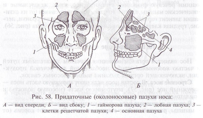 The car is stuffing in front