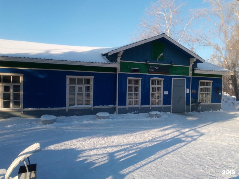 Sokur Anna Viktorovna Voronezh