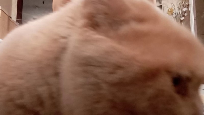 Painting by Manuel Lans