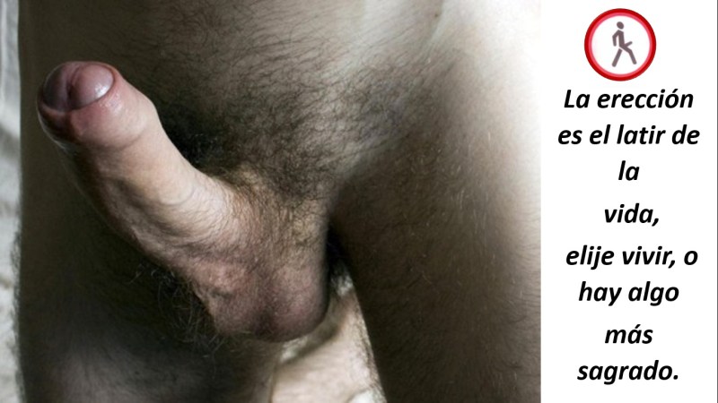 Small dick fat lying