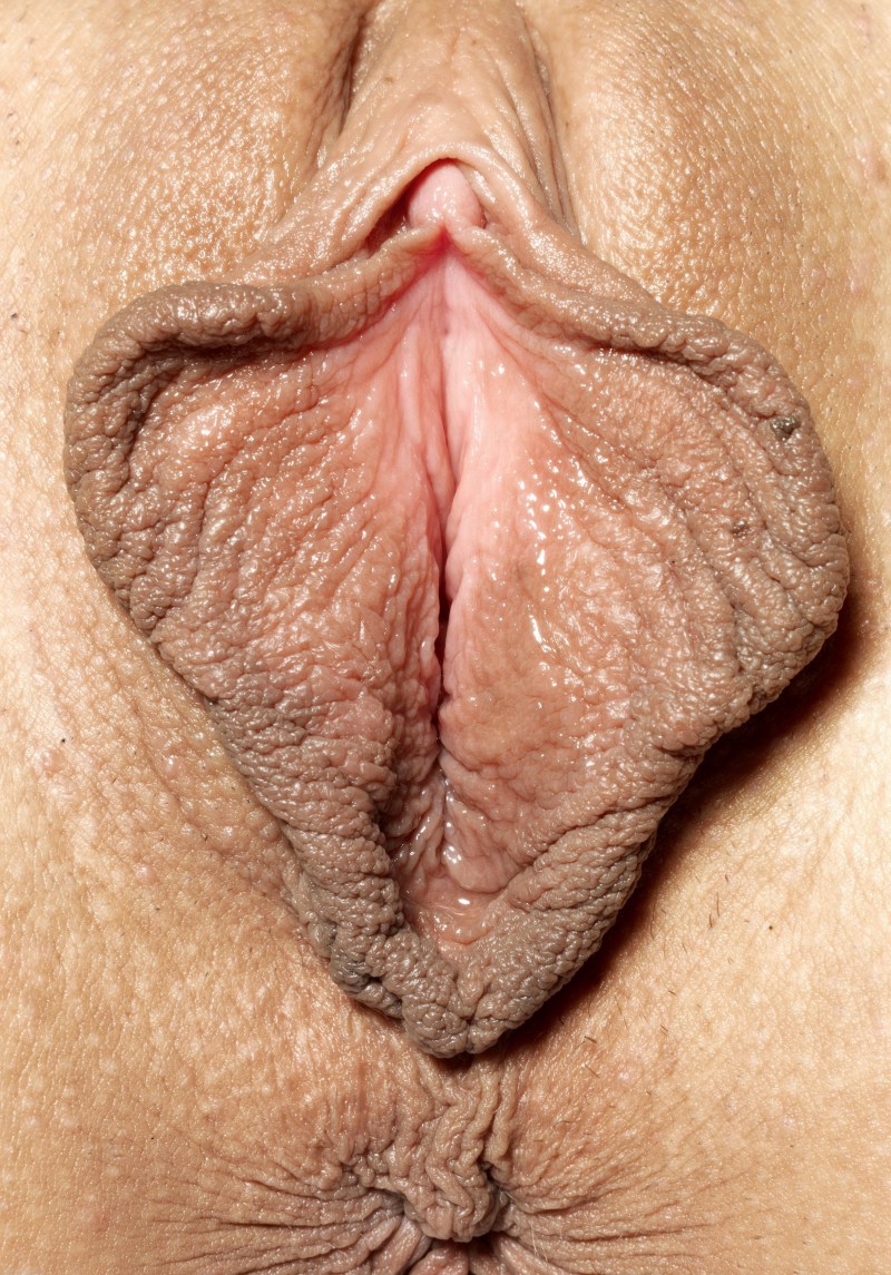 Vagins with small labia lips