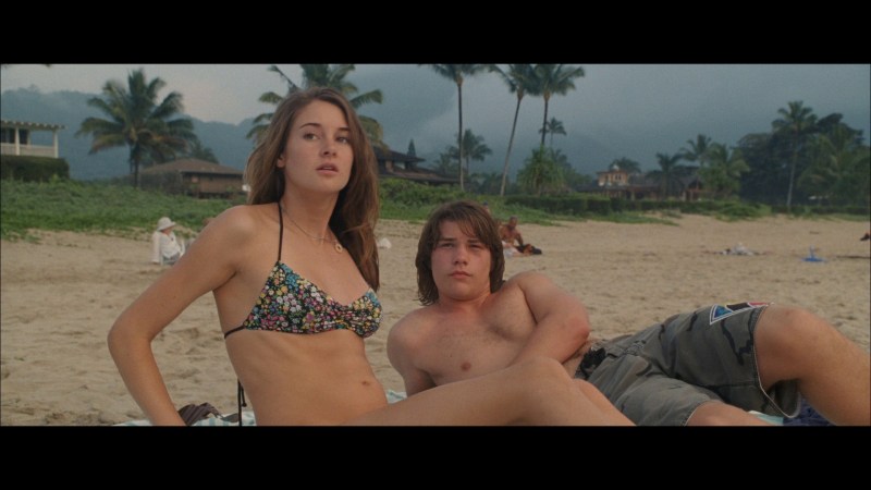 Adamb Furry Judy Hopps