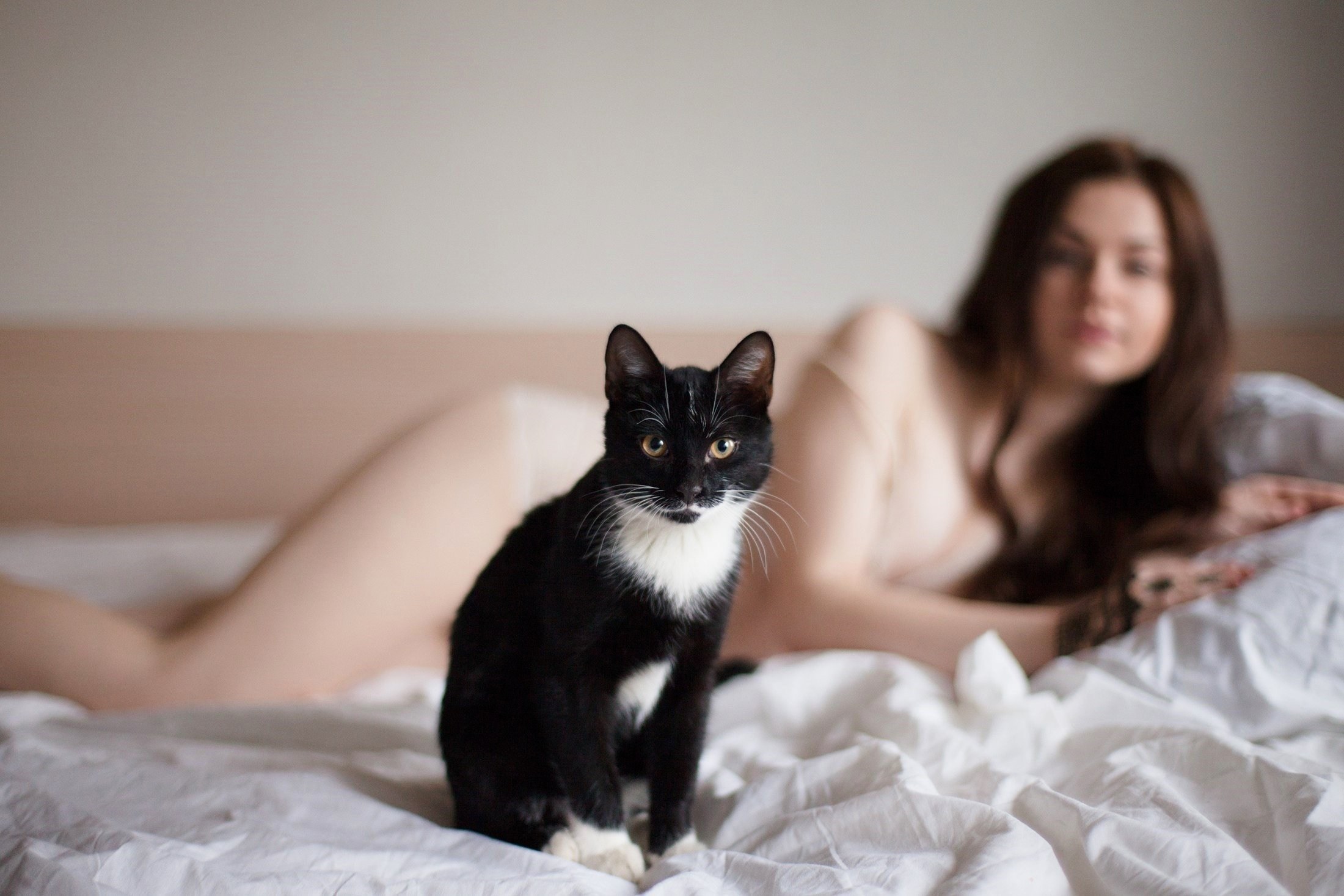 Motherless Cat Porn - Naked Women in a Cat Pose (63 photos) - motherless porn pics