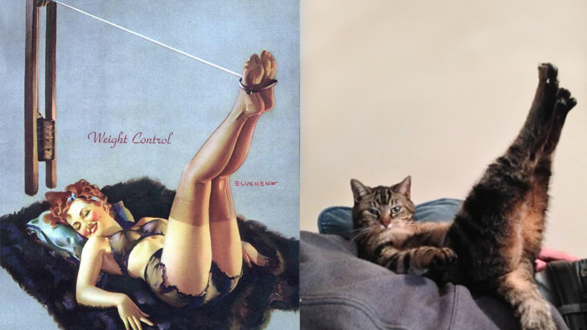 Vintage Cat Porn - Naked Women in a Cat Pose (63 photos) - motherless porn pics