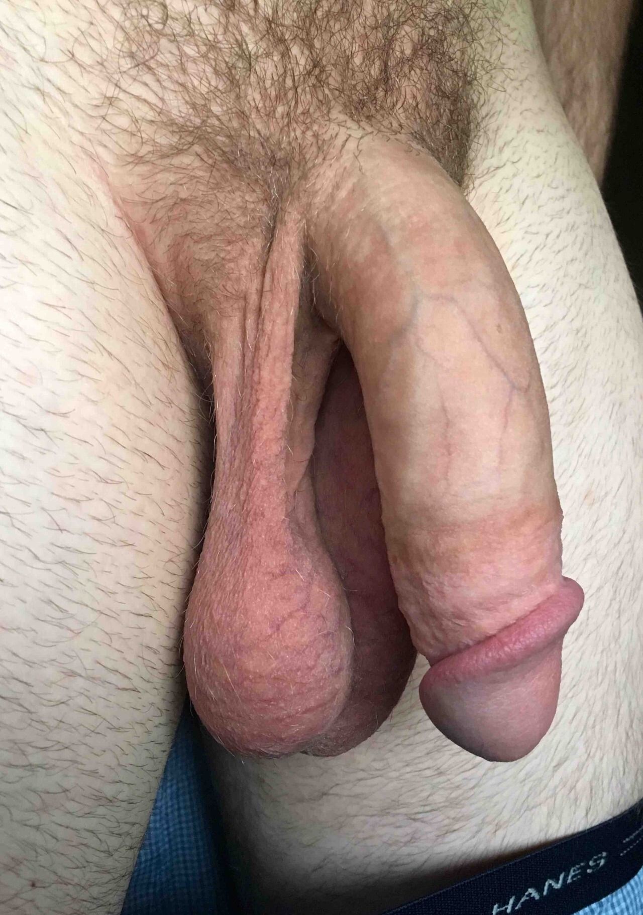 Huge Limp Cock - Flaccid Dick Porn (80 photos) - motherless porn pics