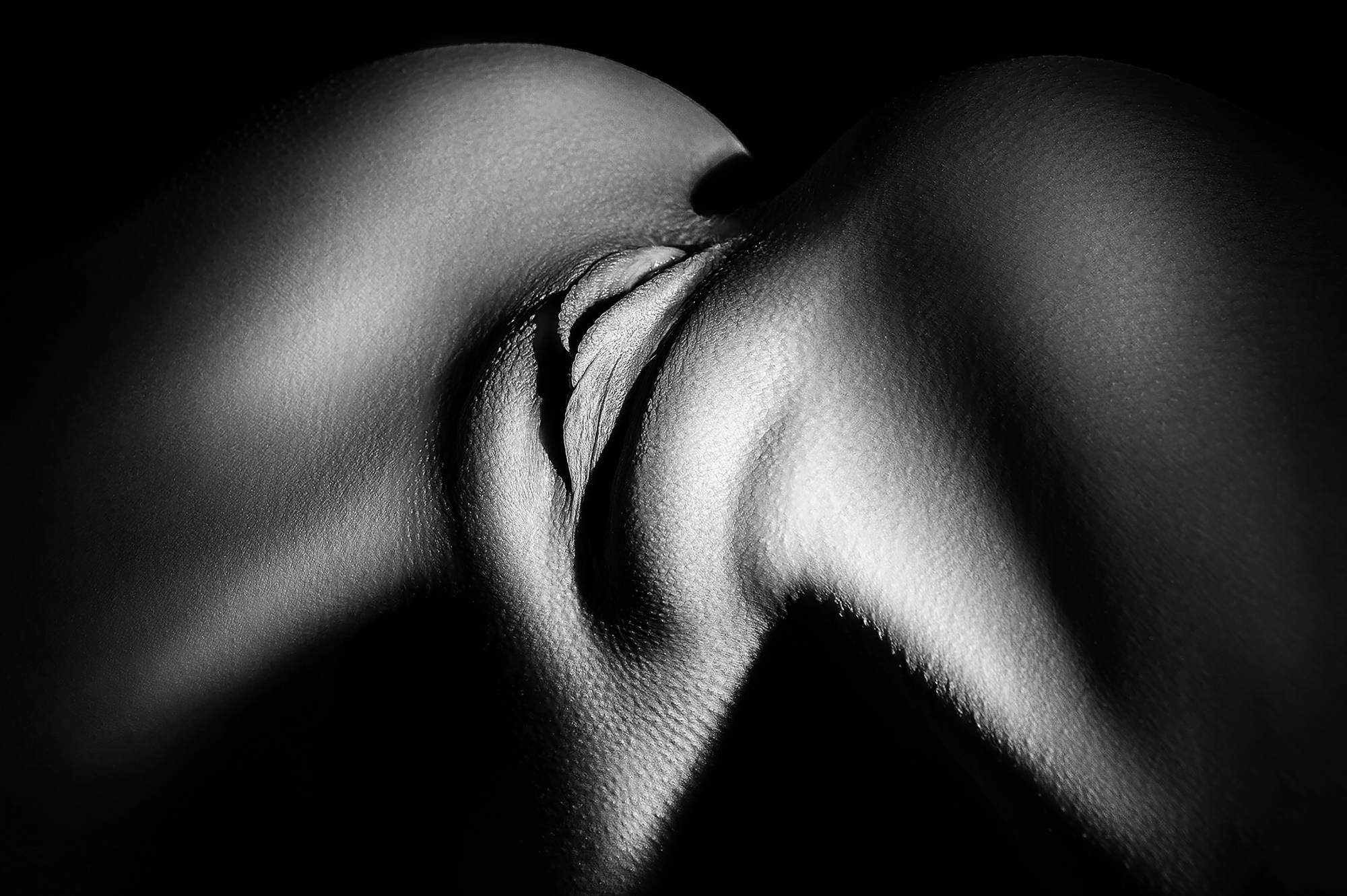 Erotic Black Porn - Black and White Erotica (47 photos) - motherless porn pics
