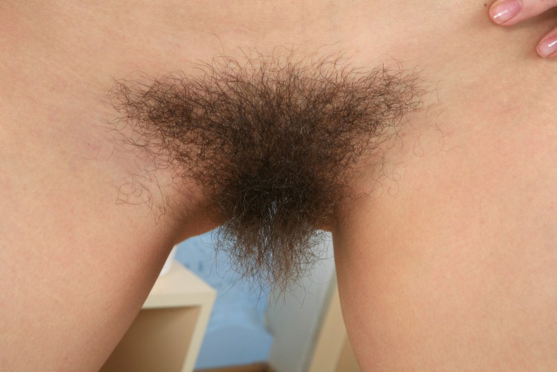 Hairy fluffy pubis