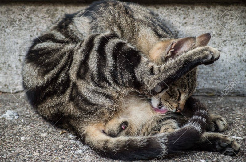 Male foot fetish and guy