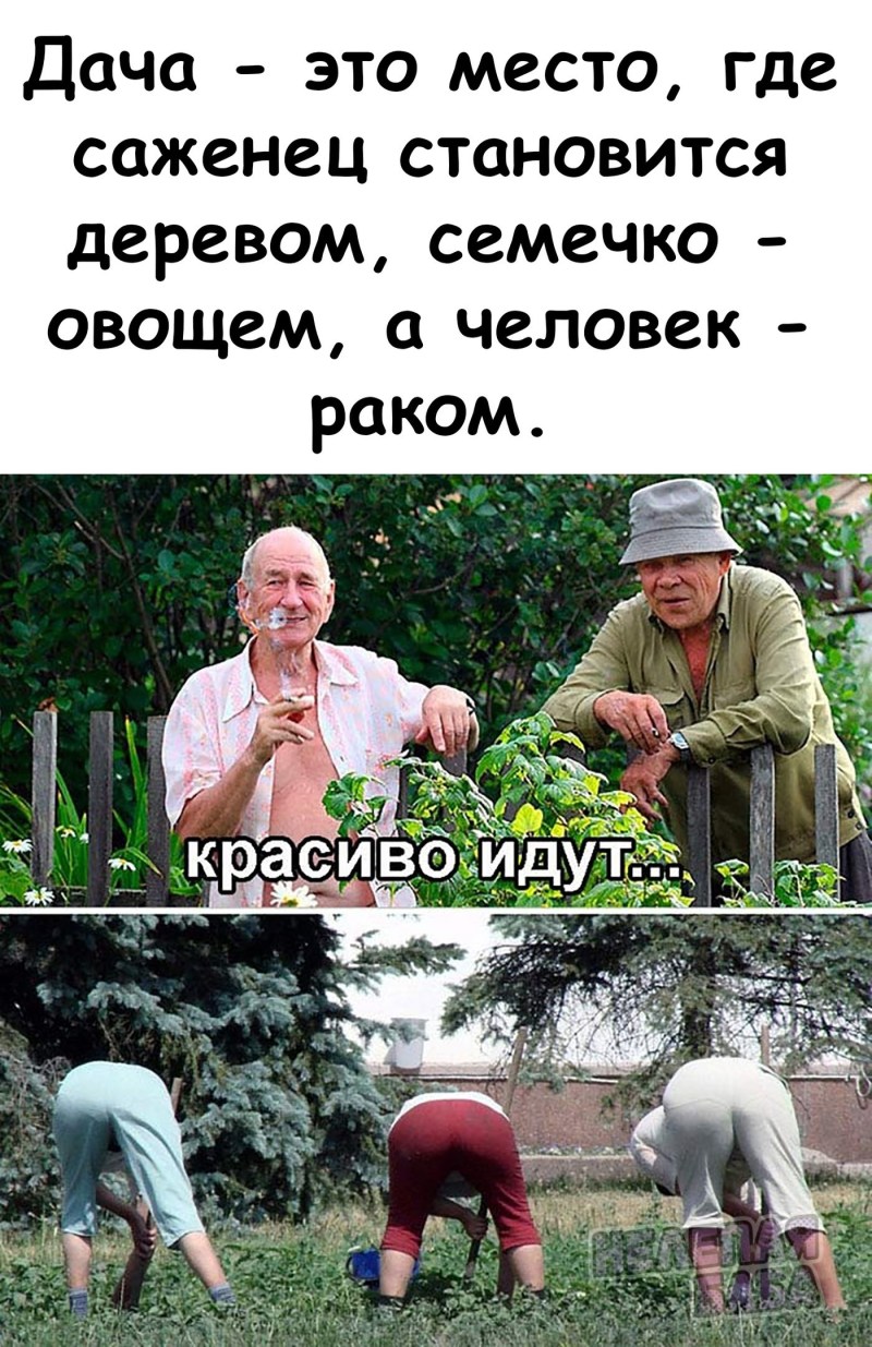 Naked women on the beds of the garden