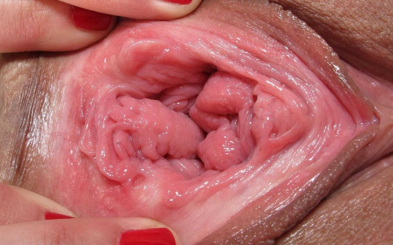 Healthy vagina inside
