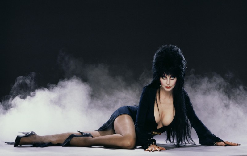 Elvira Lord of Darkness