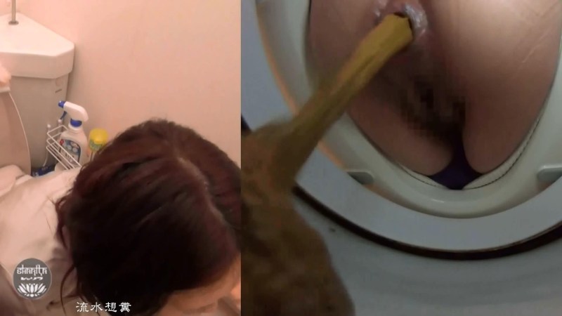 Hidden Camera in the Girls Public Toilet (Girls Toilet 03)