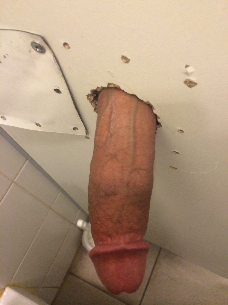 Fucking through a hole in the toilet