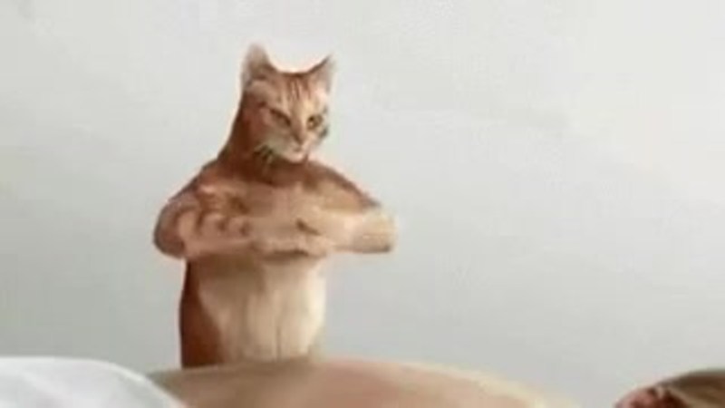 The girl smokes in full growth