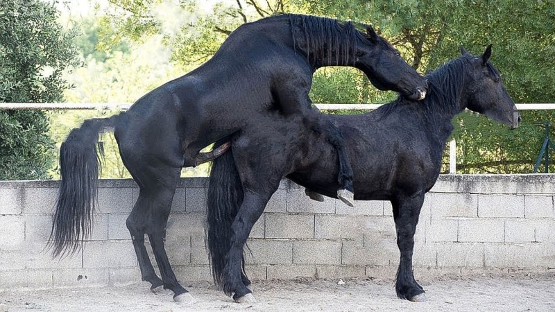 Perfect morning with your beloved