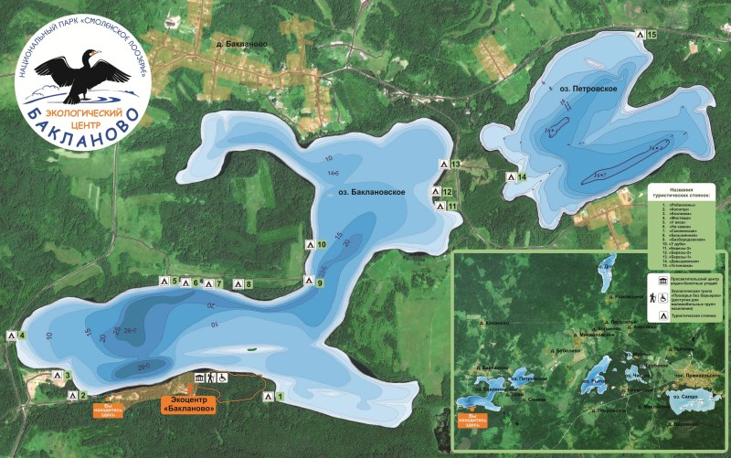 Search line without a background