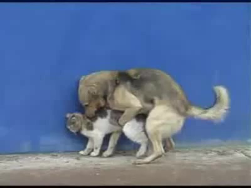 Soviet astronaut art